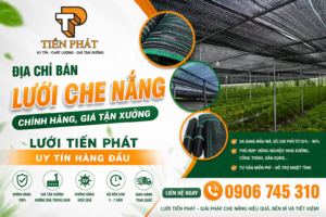 Địa Chỉ Bán Lưới Che Nắng